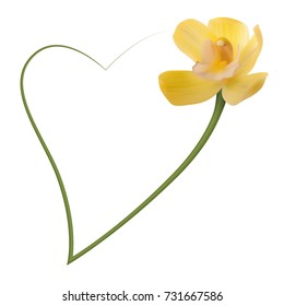 Realistic yellow orchid frame, heart.