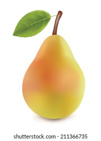 Realistic yellow pear.