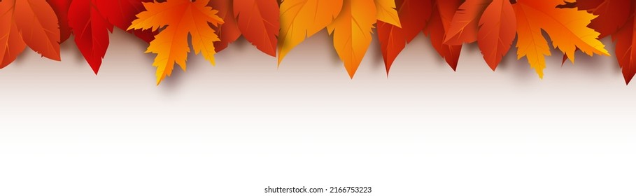 Realistic yellow, red, orange leaves. Autumn foliage on a white background. Vector illustration