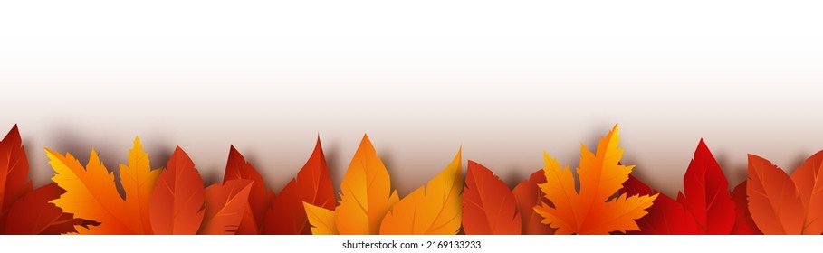 Realistic yellow, red, orange leaves. Autumn foliage on a white background. Vector illustration