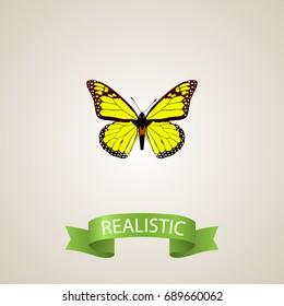 Realistic Yello-Wing Element. Vector Illustration Of Realistic Archippus Isolated On Clean Background. Can Be Used As Yellow, Butterfly And Monarch Symbols.