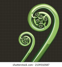 Realistic young green shoots of ferns . Illustration flat style. Green curly leaf tropical plant.