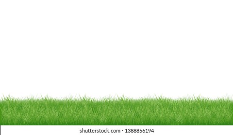 realistic young juicy green grass. isolated on white background
