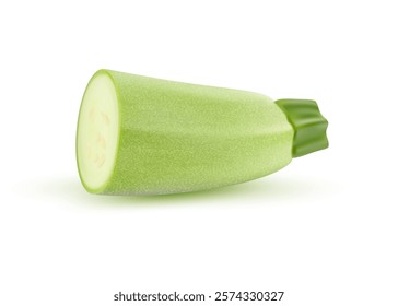 Realistic zucchini half cut, courgette or marrow squash vegetable, isolated vector. Realistic zucchini cut in half, isolated on white background for natural organic vegetable and farm veggie food