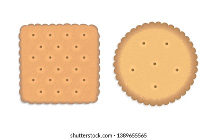 Realistic3d Round and Square Cookies isolated on a white background