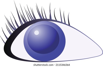 Realistically drawn illustrations of eyes and eyelashes