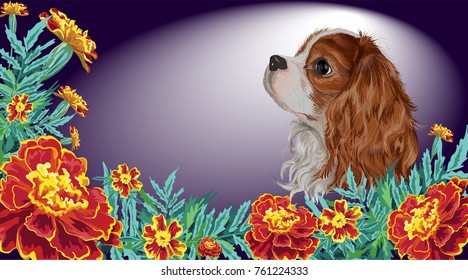 Realistically painted in vector head Cavalier King Charles spaniel sad dog framed by marigold garden flowers and leaves invitation card isolated on dark background