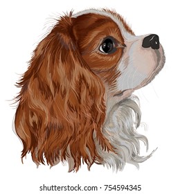 A realistically vector painted dog of the breed of Cavalier King Charles Spaniel, lovely, devoted kind dog, a bright picture of a filigree hand work