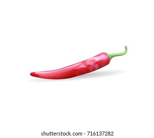 realistics red chili vector