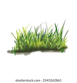 Realistict natural element for desain, grass on white bacground, green grass, leaf, mud