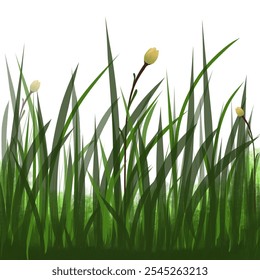 Realistict natural element for desain, grass on white bacground, green grass, leaf, clear sky, mini flowers, element