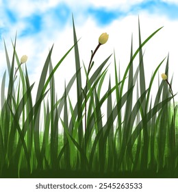 Realistict natural element for desain, grass on white bacground, green grass, leaf, in clear sky, wind on grass and mini flowers