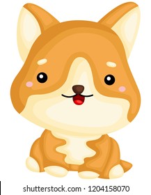 a really happy pure breed corgi dog 