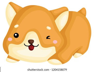 a really happy pure breed corgi dog 