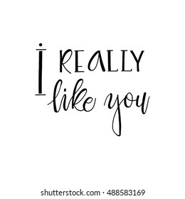 I really like you  phrase for card. Hand drawn modern calligraphy. Ink illustration. Banner with hand drawn words. Isolated on white background