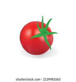 realstick red tomato vector design, food set , food vector design , tomato vector,