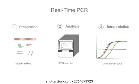 Der Echtzeit-Polymerase-Kettenreaktion (PCR)-Workflow, der wichtige Schritte zeigt: Vorbereitung der Master-Mixe, Analyse (qPCR-Maschinen), Interpretation (Amplifikationskurve).