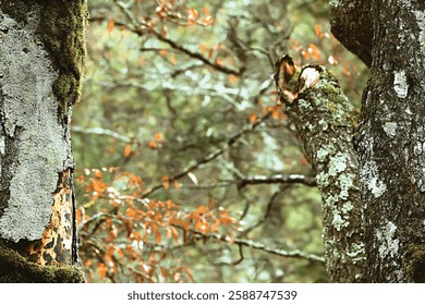 Realtree-inspired camo with realistic twigs, leaves, and shadows