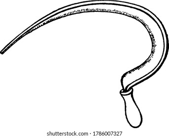 A reaping hook; a curved blade of steel with the edge on the inner side of the curve, a short handle or haft, for cutting with the right-hand grain or grass which is grasped by the left, vintage