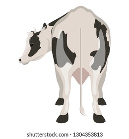 Rear view of a cow. Farm animal. Vector illustration design
