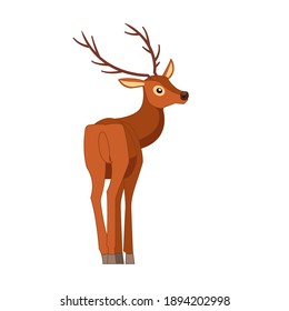 Rear view of the deer. Ungulate ruminant mammals. Cartoon animal design. Cute deer with horns. Flat vector illustration isolated on a white background.