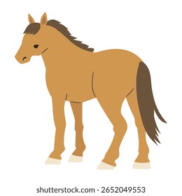 Ilustração De Cavalo De Visão Traseira (Estilo Plano)
