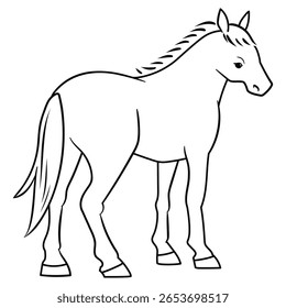 Rear View Horse Line Art Vector Illustration
