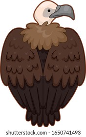Rear View Illustration of a Vulture Bird Showing Its Feathers and Beak