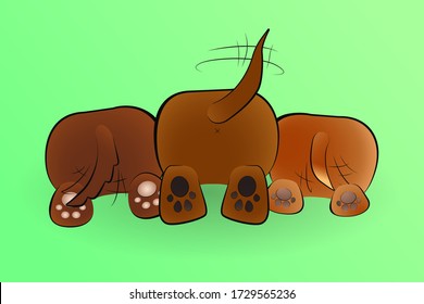 Rear view of three happy pupils wagging tails. Isolated cartoon brown dogs cute pads and tails, coloured with gradients. 
