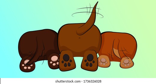 Rear view of three happy pupils wagging tails. Isolated cartoon brown dogs cute pads and tails in flat style 