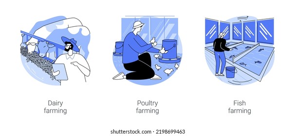 Rearing Of Animals Isolated Cartoon Vector Illustrations Set. Dairy Farming, Farmer Controls Livestock On Ranch, Poultry Production, Growing Fish In A Pool, Agribusiness Worker Vector Cartoon.