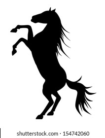 rearing up graceful black silhouette horse, vector against white 