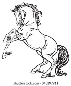 rearing horse black and white outline image