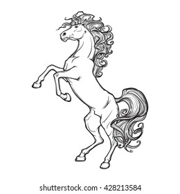 Rearing horse with curly tail and mane. Horse stood up on it's hind legs. Sketch isolated on white background. EPS10 vector illustration.