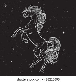 Rearing horse with curly tail and mane. Star constellation of Horse stood up on it's hind legs. White sketch on black nightsky background with stars. EPS10 vector illustration.