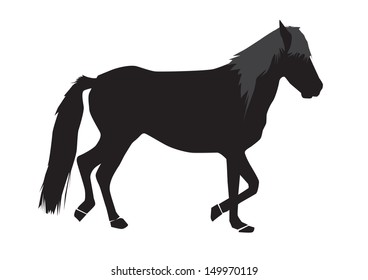 rearing horse fine vector silhouette - black over white 