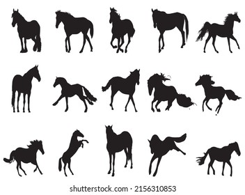 Rearing Horse Fine Vector Silhouette Outline Stock Vector Horse Vector Art.Jumping horse