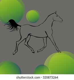 rearing horse fine vector silhouette, vector horse animal illustration mustang