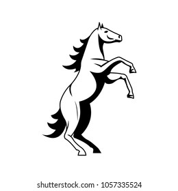 
Rearing up horse hand drawn vector illustration.
Rearing horse silhouette.