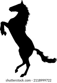 Rearing Horse Silhouette -  Isolated on white background