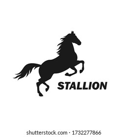 Rearing horse silhouette. Racehorse in action. Stallion pose. Running and jumping animal. Farm or ranch concept. Equestrian sport. Equine black icon sign or symbol. Racehorse vector logo illustration.