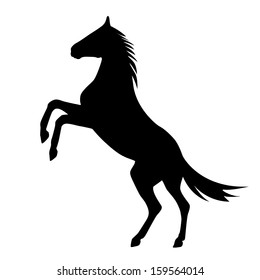 rearing up horse  vector silhouette
