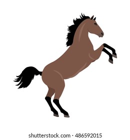 Rearing sorrel horse with hind legs vector. Flat design. Domestic animal. Country inhabitants concept. For farming, animal husbandry, horse sport illustrating. Agricultural species. Isolated on white