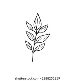 Reaslistic beautiful tropical branch with leaves inblack isolated on white background. HAnd drawn vector sketch illustration in vintage doodle engraved line art style. Botanical floral single drawing.