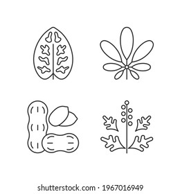 Reason for allergy linear icons set. Dieffenbachia, schefflera pollen. Cause of allergic reaction. Customizable thin line contour symbols. Isolated vector outline illustrations. Editable stroke