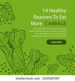 Reasons to eat more cabbage, healthy lifestyle and dieting, nutrition and detox. Cabbage benefits, vegetables and veggies menu for vegans and vegetarians. Website page template, vector in flat