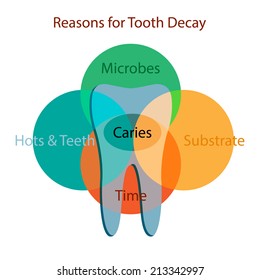 Reasons for Tooth Decay.