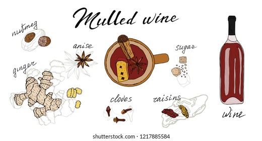 Recipe. A bottle of red wine, a mug with mulled wine, a root of ginger, cinnamon, nutmeg, anise, raisins, sugar. Vector hand drawn illustrations.
