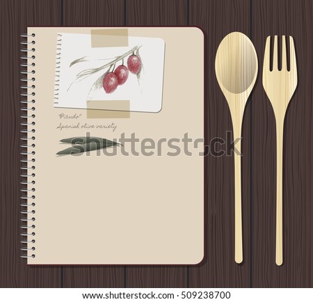Recipes notebook and olives hand drawn: "Picudo" Spanish olive variety