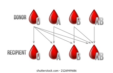 Destinatario y donante. Tipos de sangre A, B, AB, O. Compatibilidad específica entre grupos para donar y recibir sangre. Tipos de grupos sanguíneos para recibir o donar